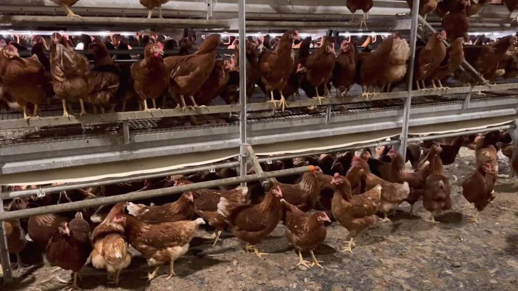 sam60-agrandissement-ferme-du-pr-flavacourt-2-00-00-35-18-66ba47c1b1272445825067