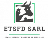 ETSFD
